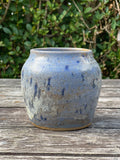 Blue Speckled Vase