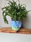 Blue and Green drippy pot