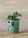 Climbing Wall Succulent Plant Pot- Moss Green SAMPLE
