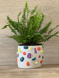 Climbing Wall Plant Pot - Cream