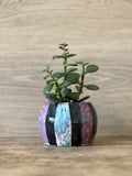 Mini Rainbow Humbug plant pot