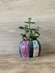 Mini Rainbow Humbug plant pot