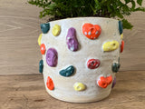 Climbing Wall Plant Pot - Cream