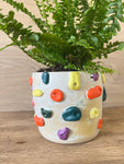 Climbing Wall Plant Pot - Cream