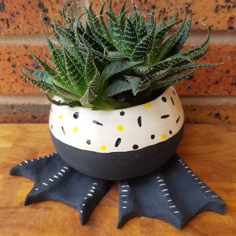 Duck Feet Confetti planter