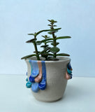 Drippy pot 1