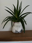 Coffee Pitfire bud vase