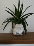 Coffee Pitfire bud vase