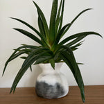 Coffee Pitfire bud vase