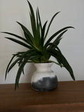 Coffee Pitfire bud vase
